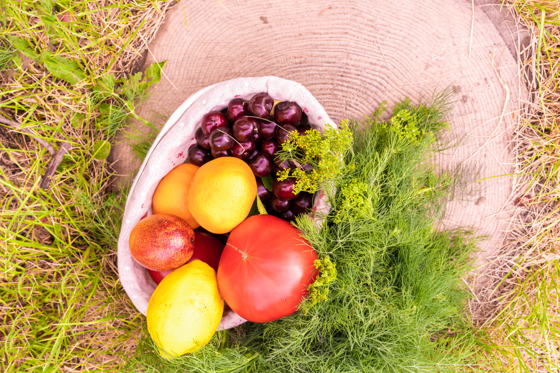 Frisch geerntetes Obst und Gemüse